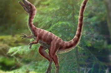 河北丰宁地区发现美颌龙类新物种——英良迅猛龙