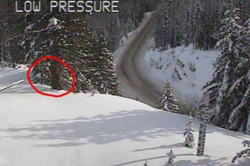 美国华盛顿州运输部的网络摄像机在山区拍到疑似“大脚怪”身影