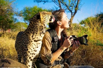 南非美女摄影师Shannon Benson不甘只是远方拍摄 大胆接近野生动物