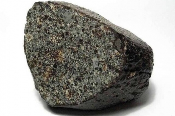 嗜热金属球菌能够在NWA 1172石质陨石上自养生长 增大地球生命起源于外星球的可能性
