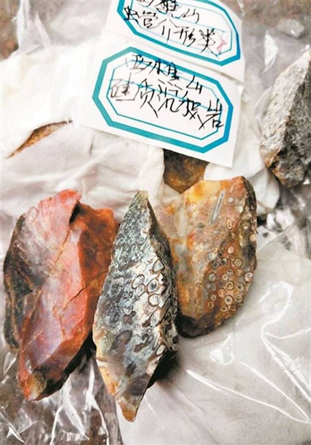 广东西樵山古人类使用过的石器上发现五千万年前古生物化石