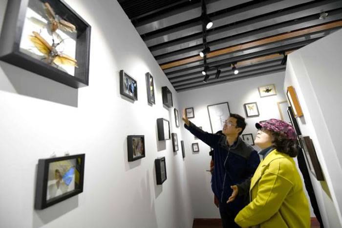 国内首家坐落于书店的自然博物馆——位于北京中关村图书大厦的石探记博物科学馆