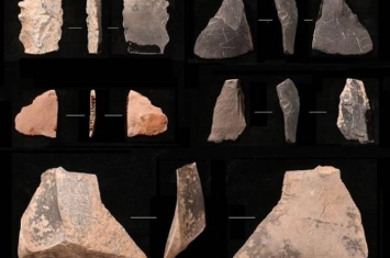 天津市首次对朝阳洞旧石器时代洞穴遗址进行考古发掘