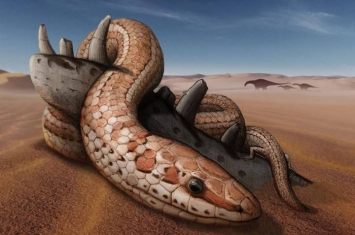 阿根廷出土完整的两腿古蛇颅骨化石 颠覆过往蛇类演化假说