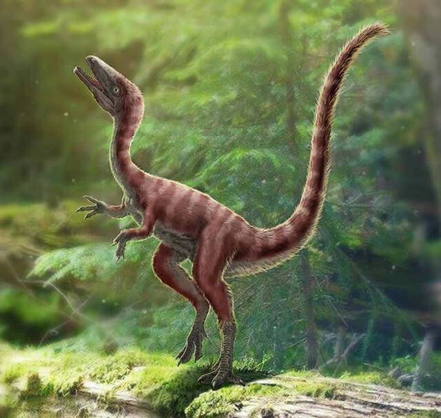 河北丰宁地区发现1.2亿年前美颌龙类新物种——英良迅猛龙