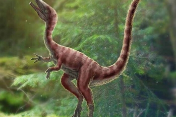 河北丰宁地区发现1.2亿年前美颌龙类新物种——英良迅猛龙