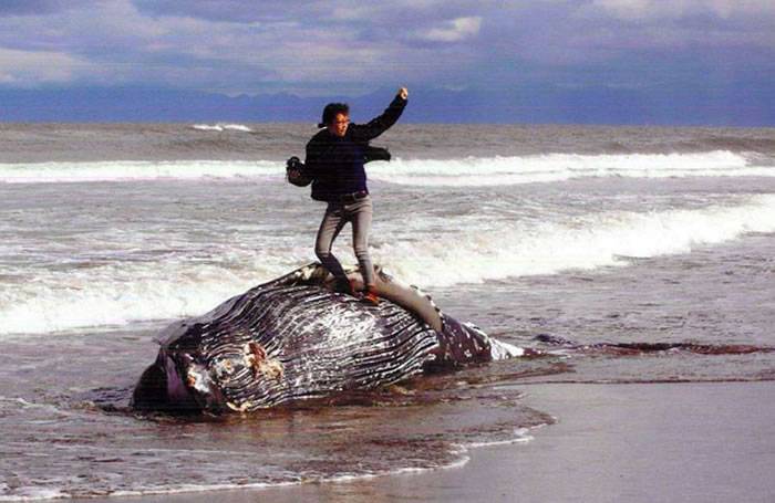 站在鲸鱼尸体上自拍作品《征服》竟得奖 日本北海道“鄂霍次克的四季”摄影大赛挨轰
