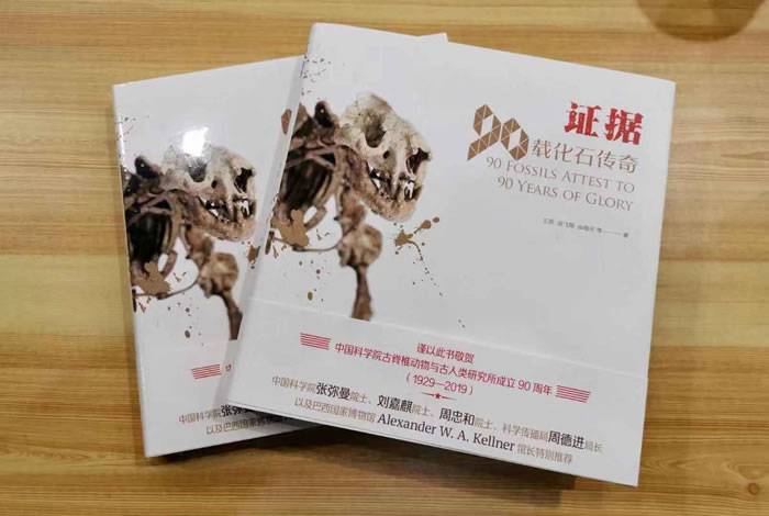 中国古动物馆开设特展《90周年纪念展》 北京猿人头盖骨化石模型重磅展出