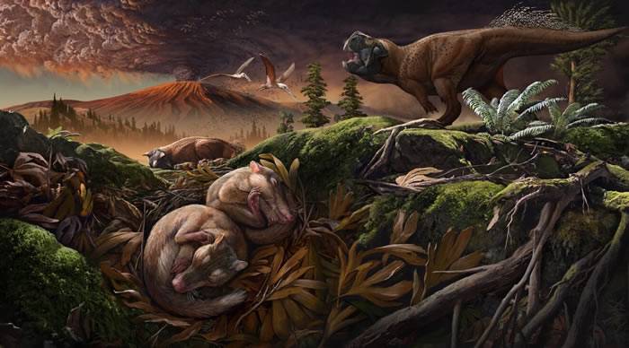 白垩纪早期哺乳动物新化石（Origolestes lii）弥合耳演化转变中的缺口