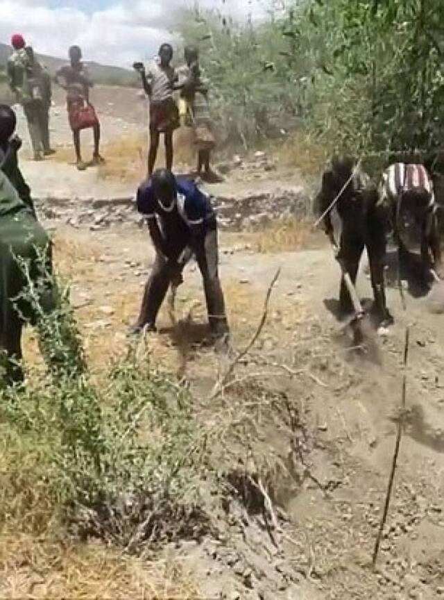 肯尼亚大象困泥井脱水 全村人出动拯救