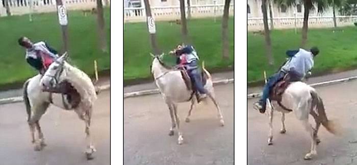 搞笑视频“醉汉骑马”在网上引发网友疯狂转载
