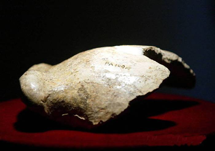 周口店龙骨山发现第一个头盖骨90年 北京猿人是我们的祖先吗?