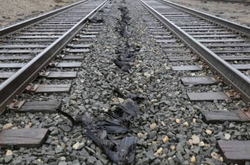 美国密歇根州发生奇异事件：300只乌鸦离奇死亡并排火车路轨