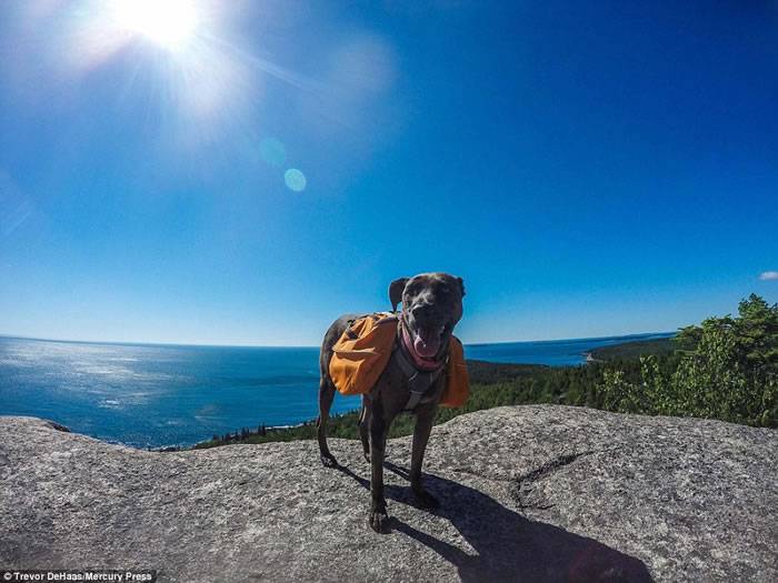 美国绝症男辞职带爱犬旅行全美：它教我要活得精采