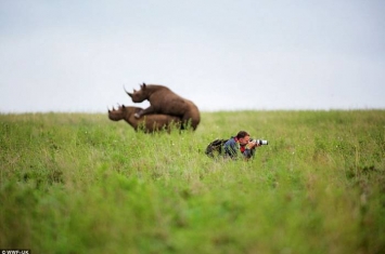 英国摄影师不管旁边犀牛交配把镜头对准其他目标被大众耻笑