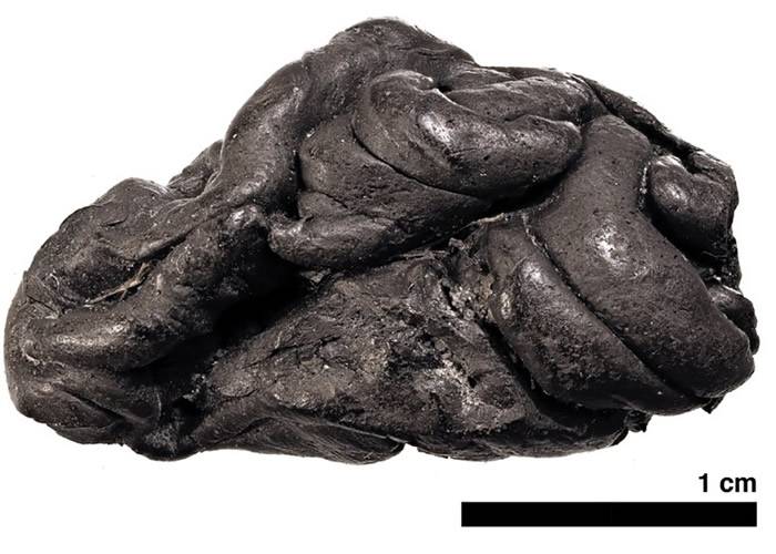 丹麦发现5700年前“桦木树皮”香口胶 分析残留DNA重组石器时代小女孩Lola样貌