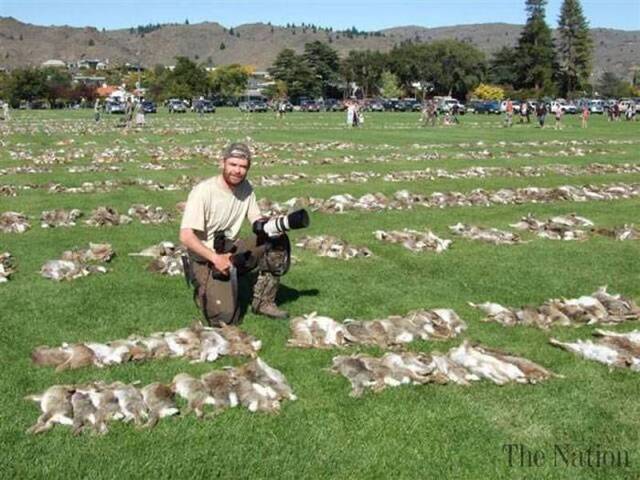 新西兰猎人协会举办复活节猎兔大赛 猎杀1.8万只野兔