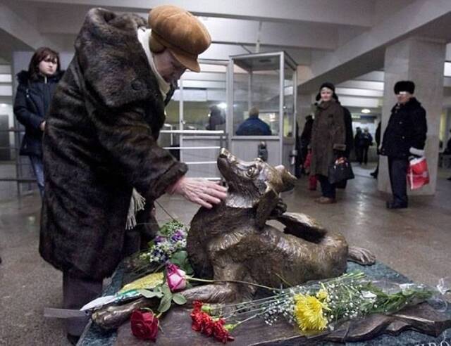 “汪星人进化之谜”：俄罗斯首都莫斯科有一批精通坐地铁的狗狗