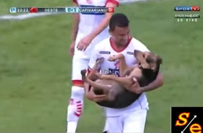 巴西呆萌狗闯入足球赛场 球员“婴儿抱”它离开