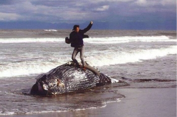 踩鲸鱼尸体拍照竟获摄影奖 日本民众批侮辱生命