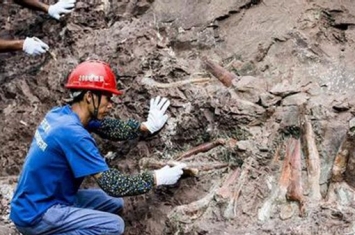 重庆现恐龙化石群是怎么回事?