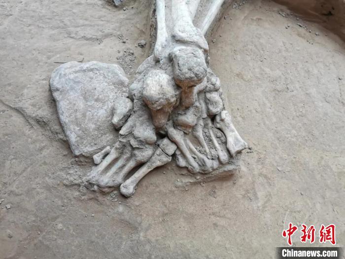 山西太原发现距今5000多年史前新石器时代遗址