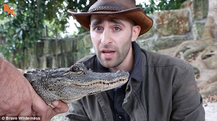美国动物专家Coyote Peterson为体验鳄鱼咬力 竟让美洲短吻鳄噬自己手臂
