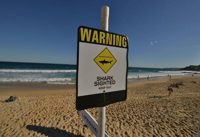 澳洲新南威尔斯省南部发生鲨鱼袭击冲浪者事件