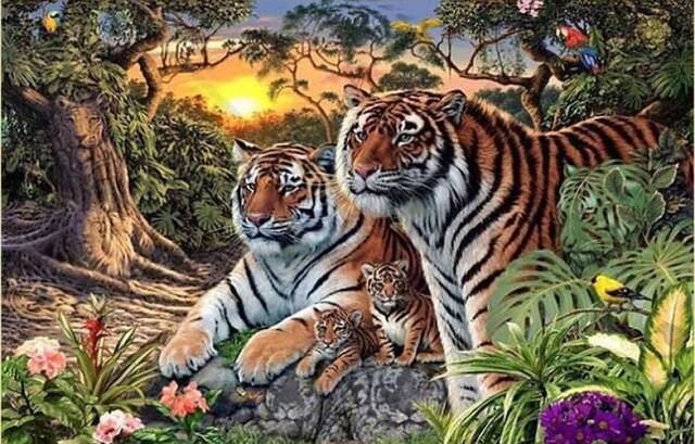 16只老虎隐藏图中 你可以把它们全部找出来吗？