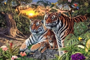 16只老虎隐藏图中 你可以把它们全部找出来吗？
