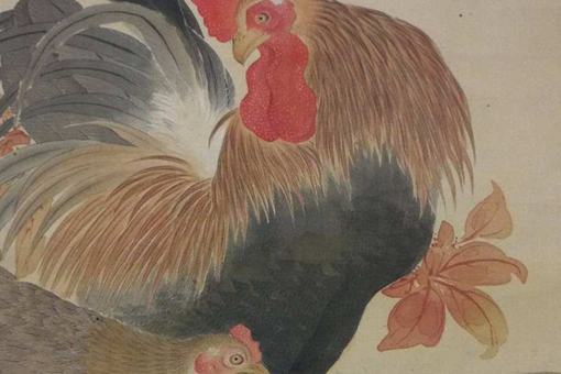 鸡在古代还有哪些叫法?鸡的古代名称大揭秘