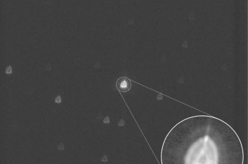 欧洲空间局“行星猎手”——“系外行星特性探测卫星”CHEOPS公布其拍摄的首批图像