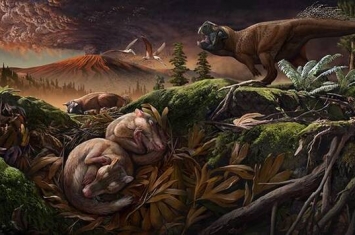 1.24亿年前李氏源掠兽化石研究发现：一体化的听觉和咀嚼器官为适应自然选择逐渐分离