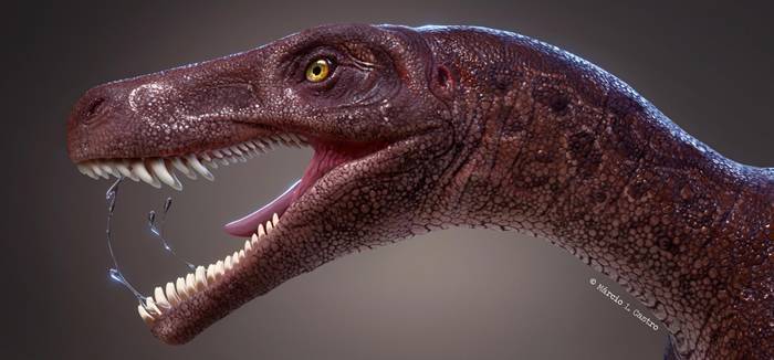 巴西南部出土2.3亿年前三叠纪最古老的肉食性恐龙化石——卡布雷拉噬颌龙
