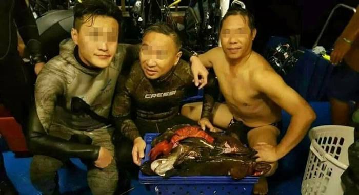 20名中国游客涉嫌在泰国保护区非法捕鱼