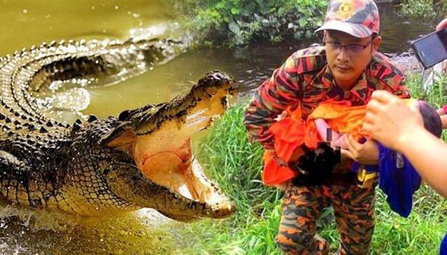 马来西亚鳄鱼拖2岁女童下水 爸爸拚命紧抱无奈被咬松开手