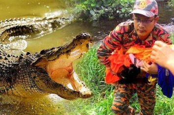 马来西亚鳄鱼拖2岁女童下水 爸爸拚命紧抱无奈被咬松开手