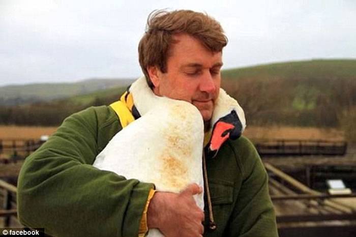 英国电视节目主持人多年前曾救天鹅一命 重返当地被天鹅认出热情拥抱