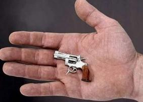 世界上最小的左轮，世界上最小的枪是什么（瑞士迷你手枪）
