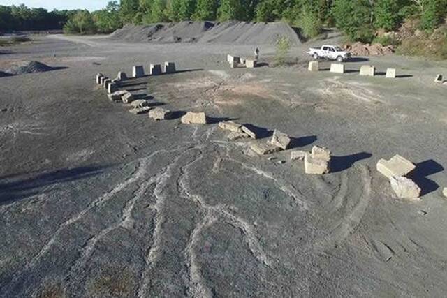 美国纽约近郊发现3.86亿年前森林的化石痕迹