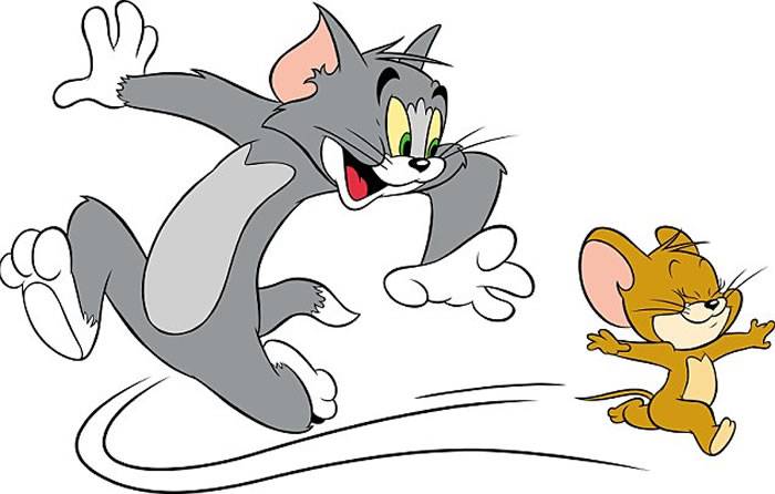 英国猫鼠大战两小时陷僵局 跟卡通片《猫和老鼠》如出一辙