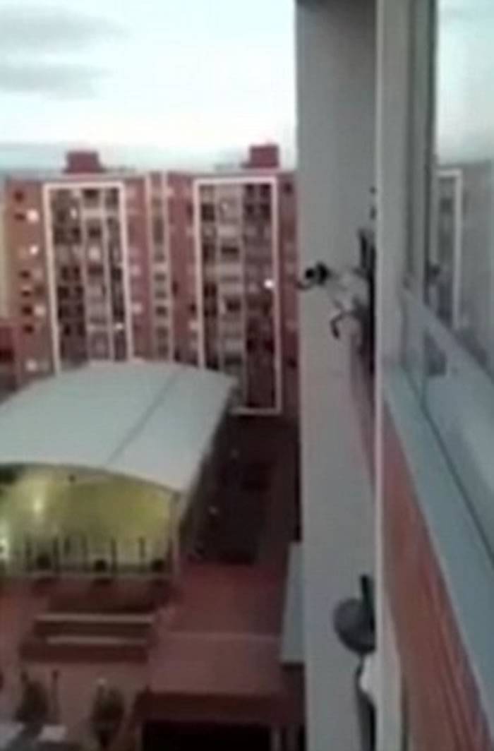 哥伦比亚黑白花狗卡在10多层楼高阳台上动弹不得 “蜘蛛人”出手相救