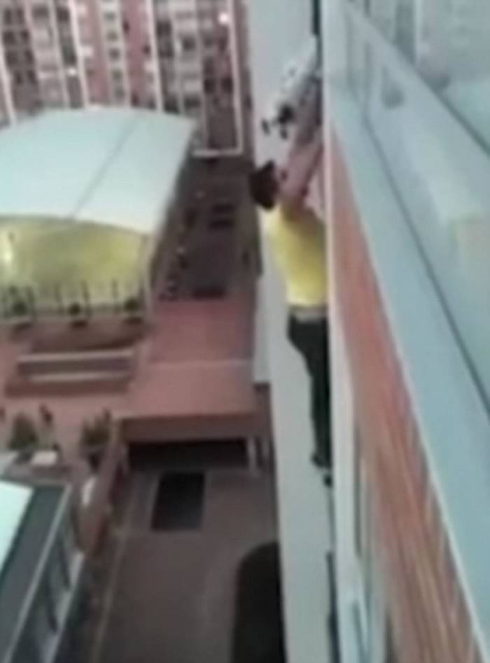 哥伦比亚黑白花狗卡在10多层楼高阳台上动弹不得 “蜘蛛人”出手相救