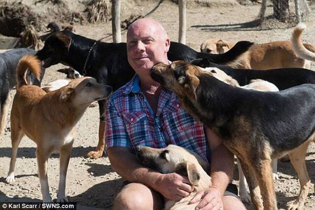 英国爱狗男子在摩洛哥打造巨大狗场 收容150只流浪狗