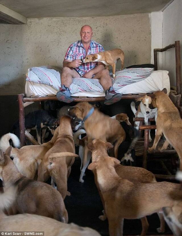 英国爱狗男子在摩洛哥打造巨大狗场 收容150只流浪狗