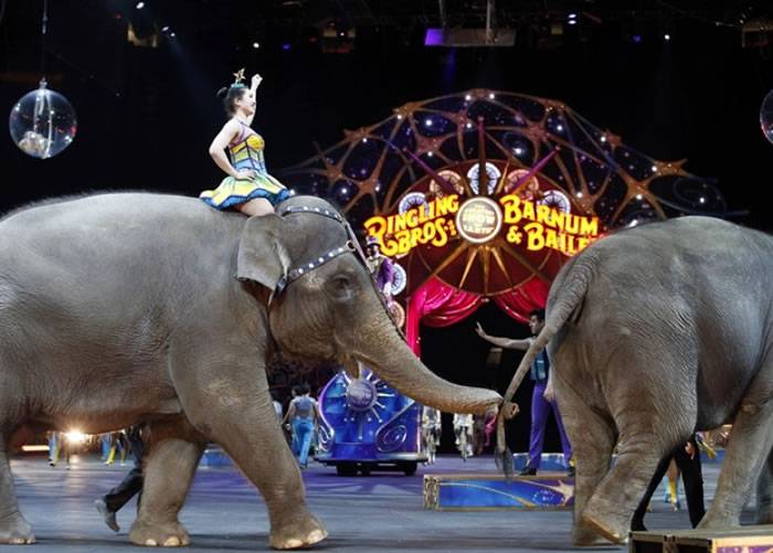 再见！美国玲玲马戏团大象最后演出告别观众