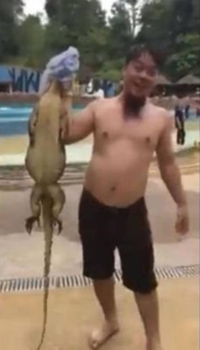 马来西亚水上乐园甘孟山城度假村泳池出现比手臂还长的“四脚蛇”