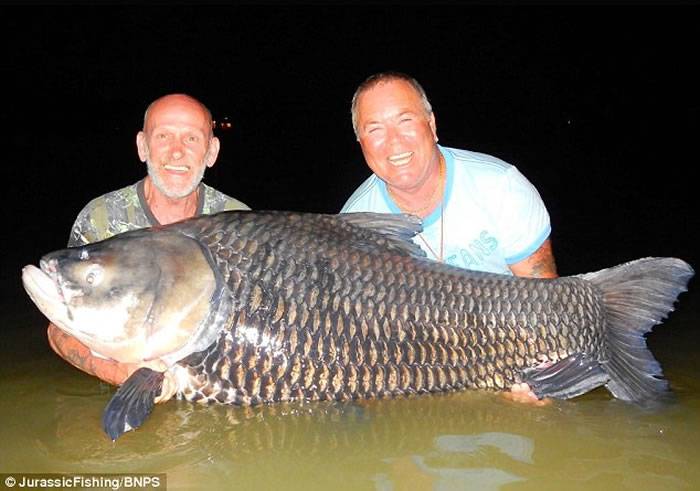 英国男子为完成老友遗愿 用其骨灰鱼饵在泰国钓上180磅超大巨暹罗鲤