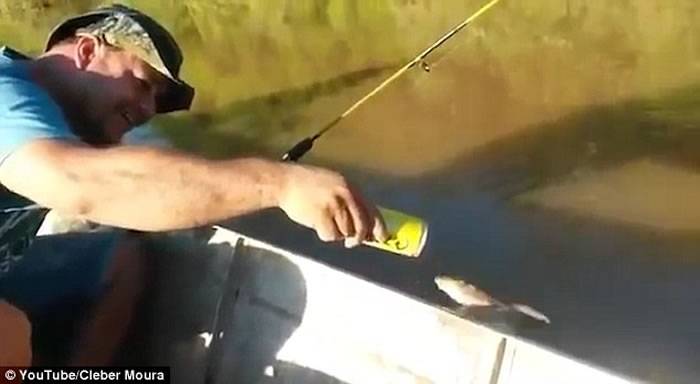 巴西一条鱼突然浮出水面倚靠在船身 钓客拿起啤酒喂20口它才离开