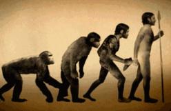 人类不是猿猴进化来的，只是一种论证假想而已(猿人与智人)